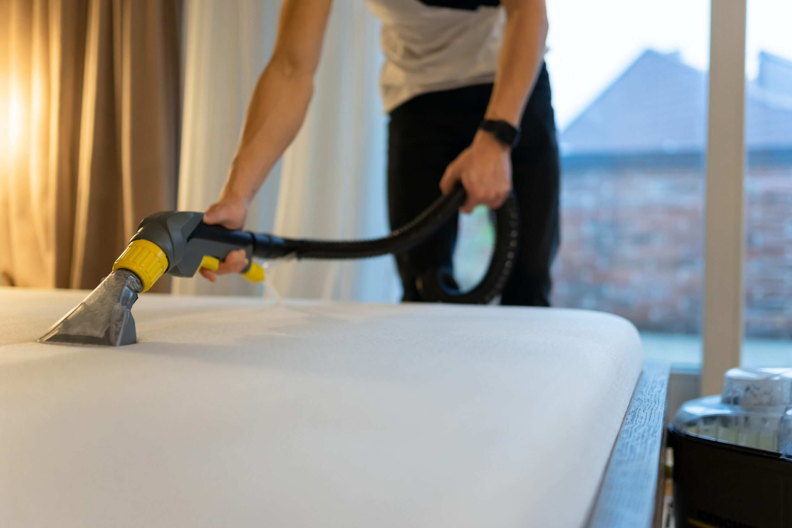 Bed Bug Traps: A Guide to Effective Pest Control Solutions