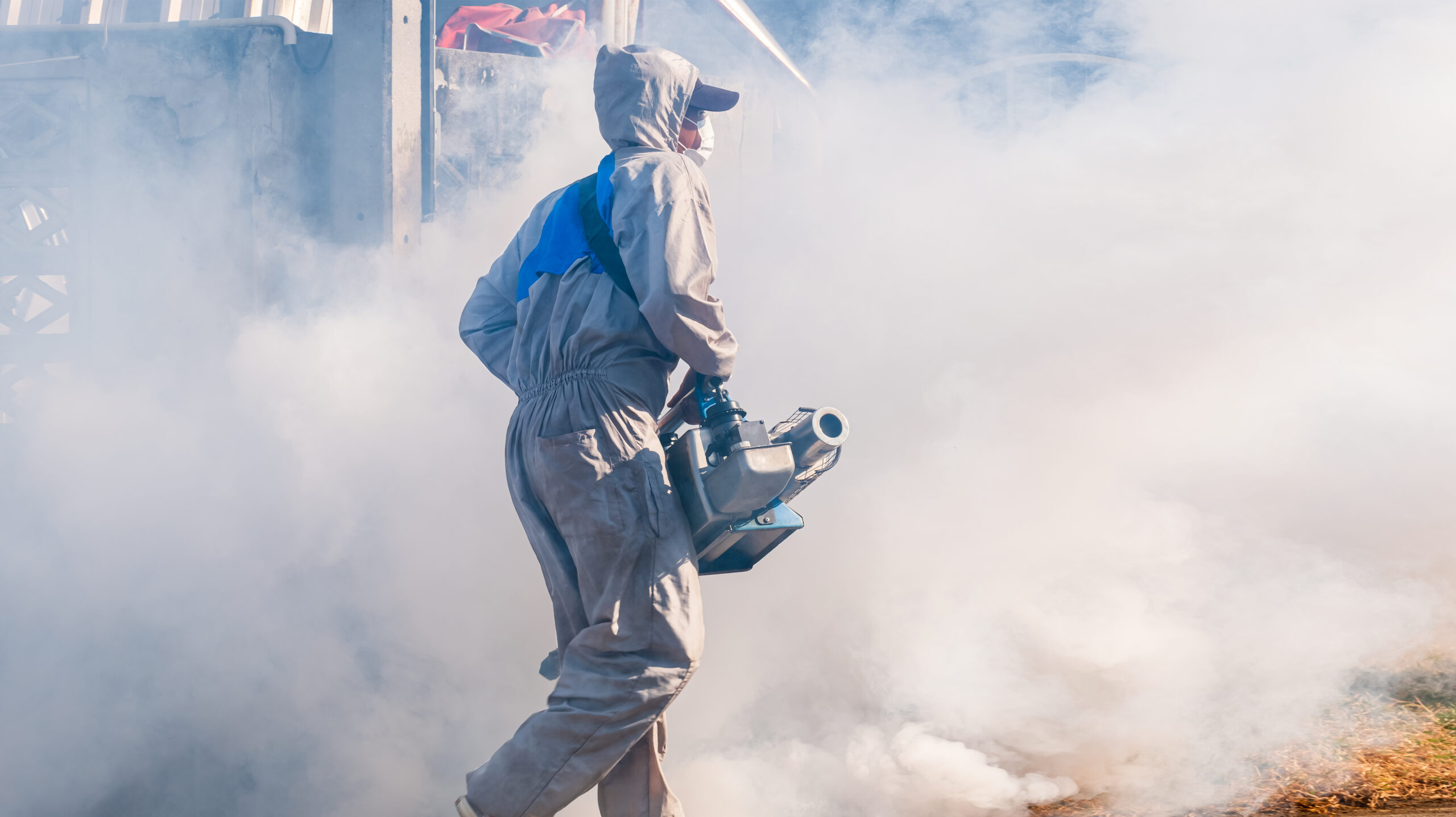 Fumigation Services and Prices: A Comprehensive Guide