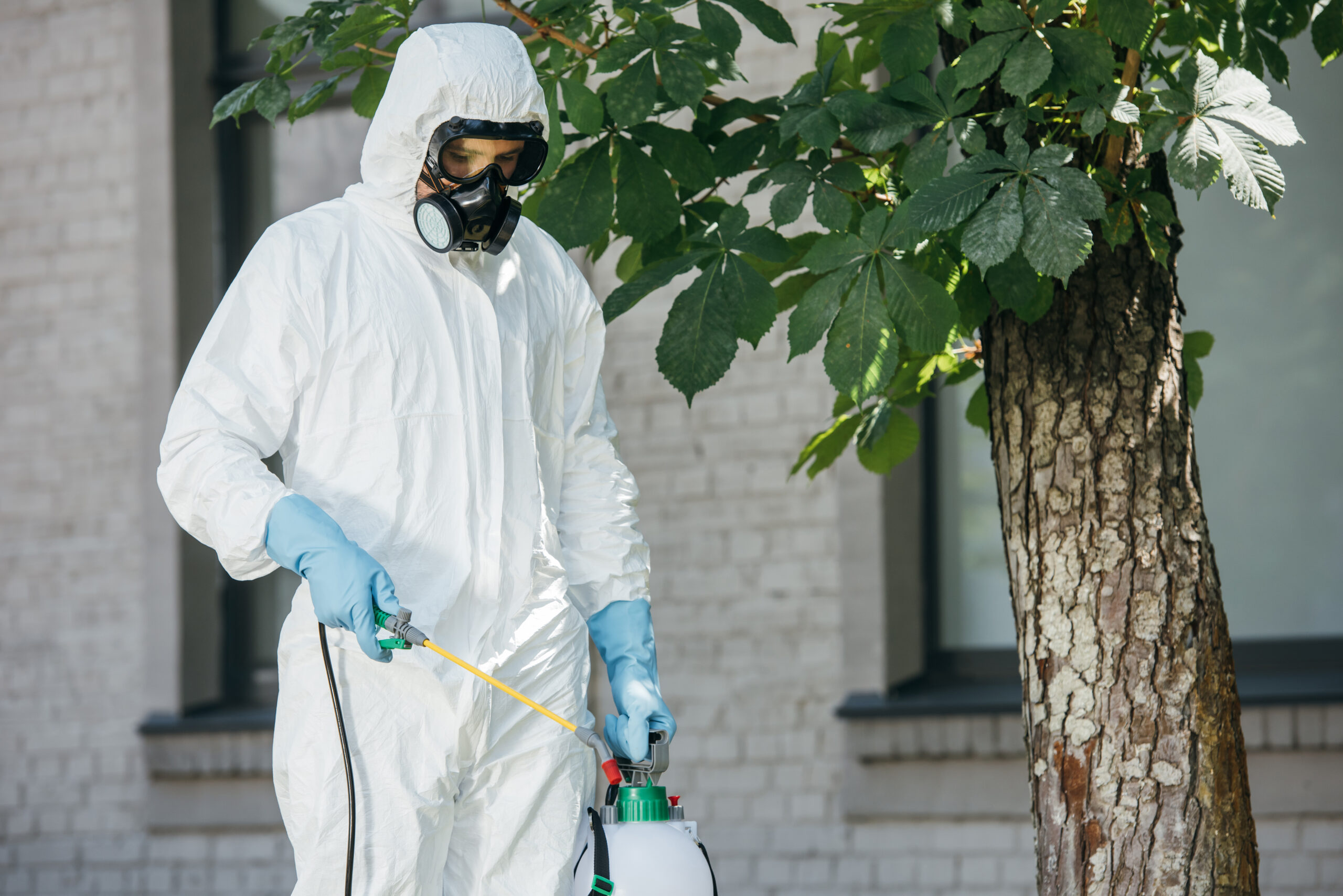 Premium Extermination Services: Local Experts Near You